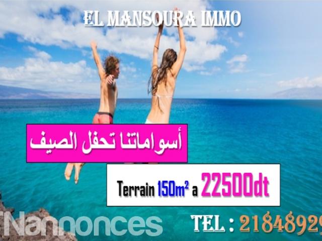 Terrain vente