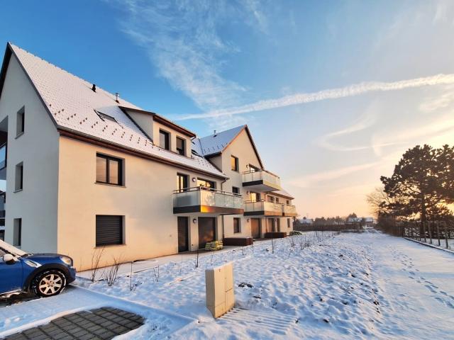 Appartement vente à Colmar-Ribeauvillé, Bergheim