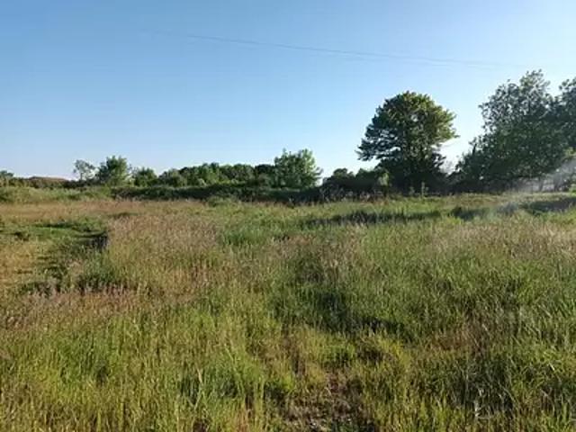 Terrain vente à Saint-Jean-d'Angély, Le Mung