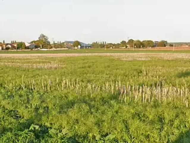 Terrain vente à Saint-Jean-d'Angély, Le Mung