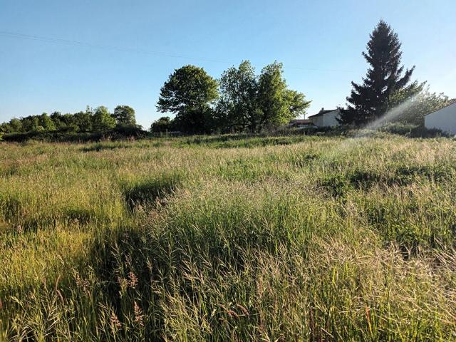 Terrain vente à Saint-Jean-d'Angély, Le Mung