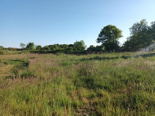 Terrain vente à Saint-Jean-d'Angély, Le Mung
