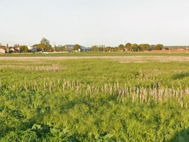 Terrain vente à Saint-Jean-d'Angély, Le Mung