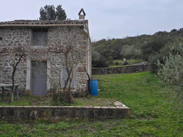 Terrain vente à Arrondissement de Draguignan, Le Muy