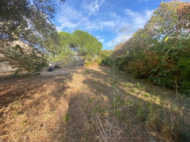 Terrain vente à Arrondissement de Draguignan, Le Muy