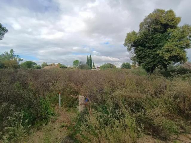 Terrain vente à Arrondissement de Draguignan, Le Muy