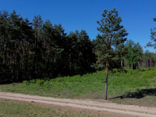 Grunt na sprzedaż w Góry Pobyłkowskie, Serock