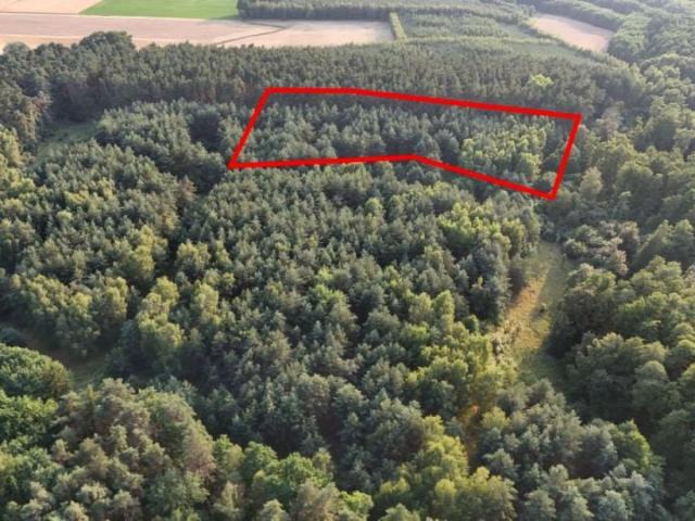 Grunt na sprzedaż w Sławno, powiat gnieźnieński