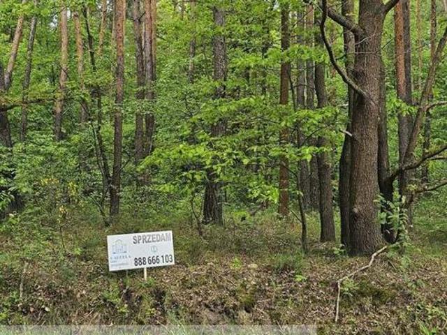 Grunt na sprzedaż w Dobryszyce, Łódzkie