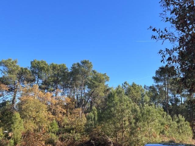 Terrain vente à France métropolitaine, Le Pian-médoc