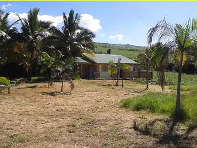 Maison location à La Réunion