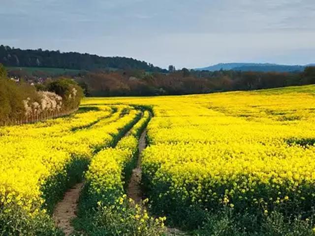 Terrain vente à La Roche-sur-Yon, Le Poiré-sur-vie