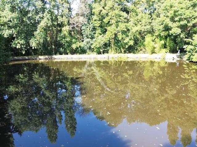 Terrain vente à La Roche-sur-Yon, Le Poiré-sur-vie