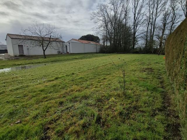 Terrain vente à La Roche-sur-Yon, Le Poiré-sur-vie