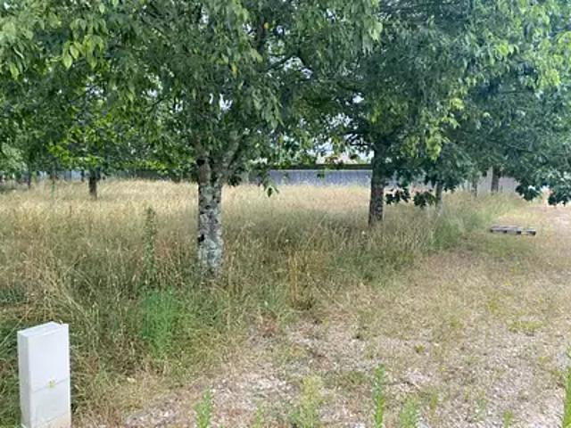 Maison vente à Bordeaux, Le Pout