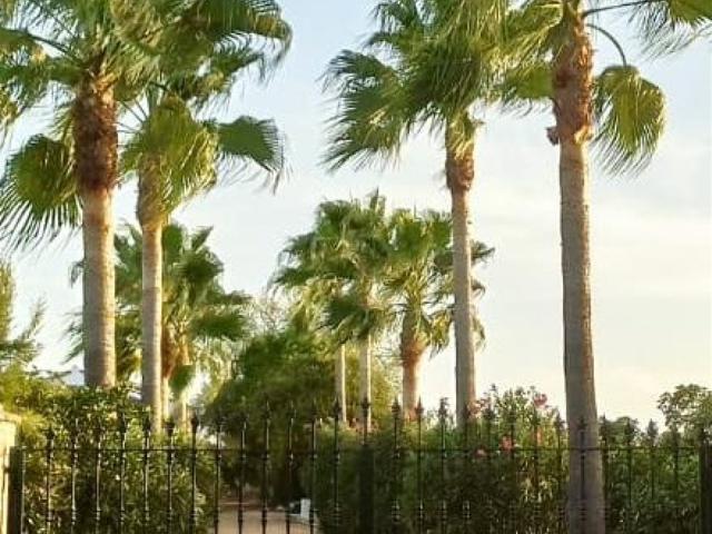 Casa en venta en El Condado, Andalucía
