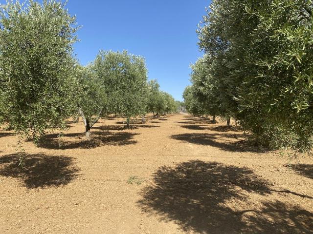 Casa en venta en Comarca Metropolitana de Huelva, Andalucía
