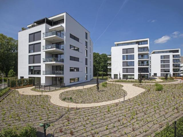 Appartement te huur in Eindhoven, Looiakkers