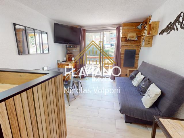 Appartement vente à Barcelonnette, Enchastrayes