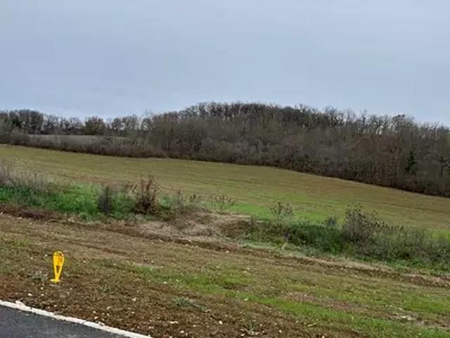 Terrain vente à Albi, Le Sequestre