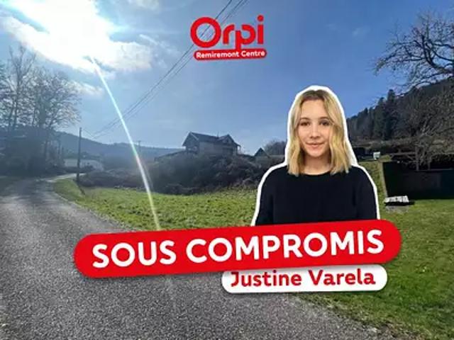 Terrain vente à Épinal, Le Syndicat