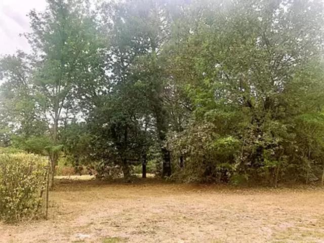 Terrain vente à Le Taillan-médoc, La Pargau