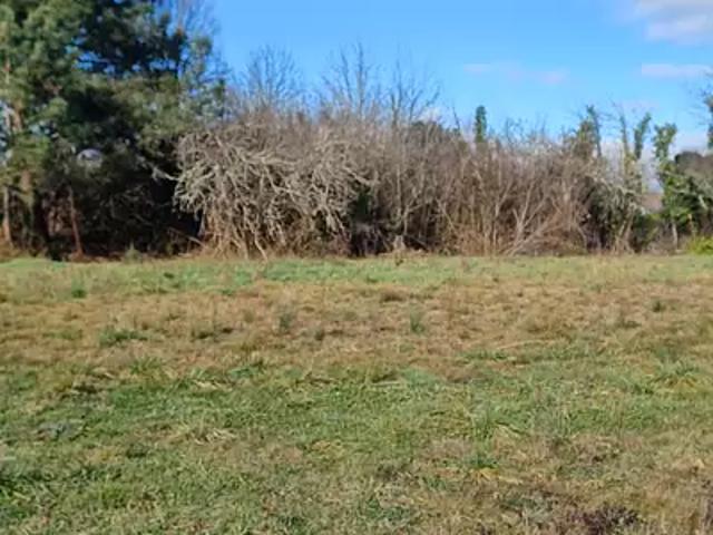 Terrain vente à Bordeaux, Le Taillan-médoc