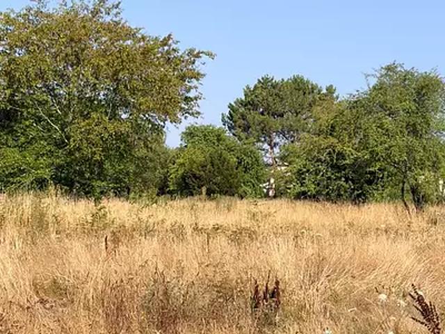Terrain vente à Bordeaux, Le Taillan-médoc