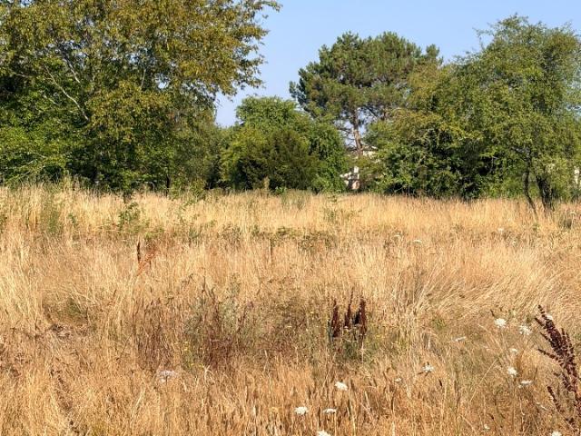 Terrain vente à Bordeaux, Le Taillan-médoc