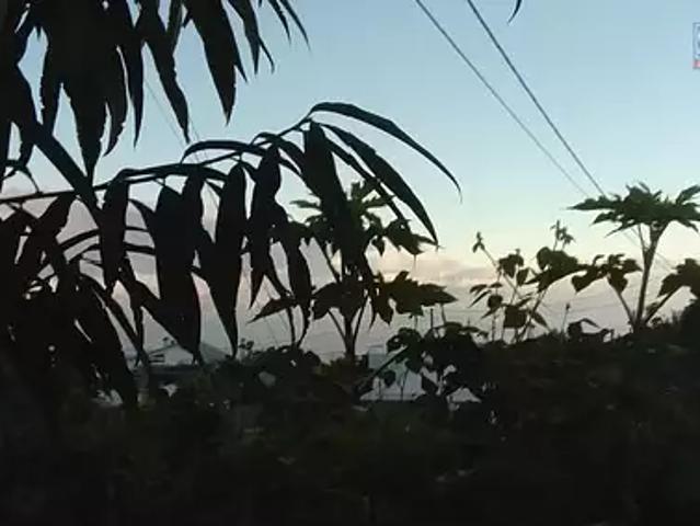 Terrain vente à La Réunion