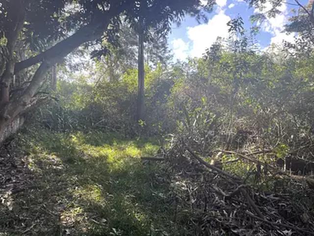 Terrain vente à La Réunion