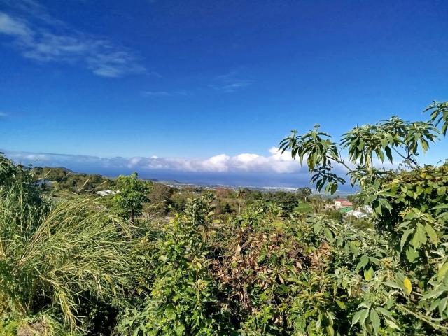 Terrain vente à La Réunion