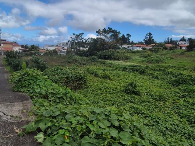 Terrain vente à La Réunion