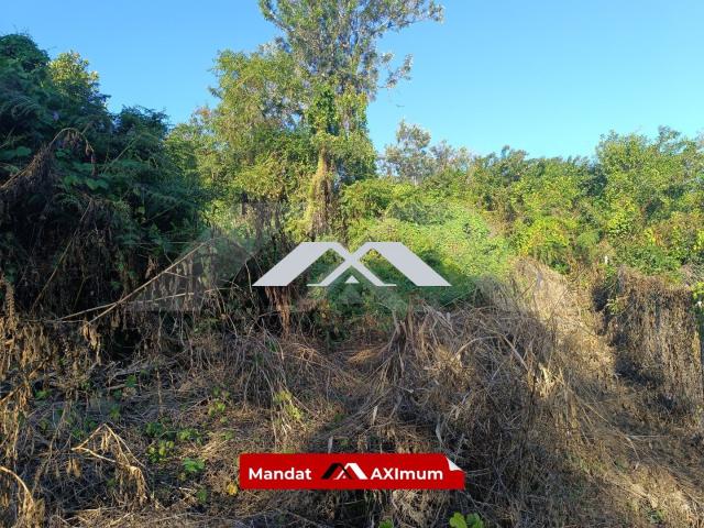 Terrain vente à La Réunion