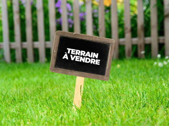 Terrain vente à La Réunion