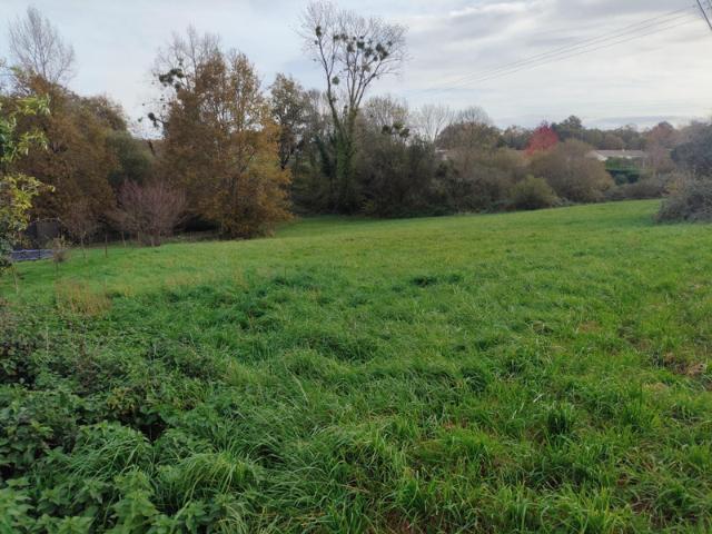 Terrain vente à Cognac, Le Tâtre