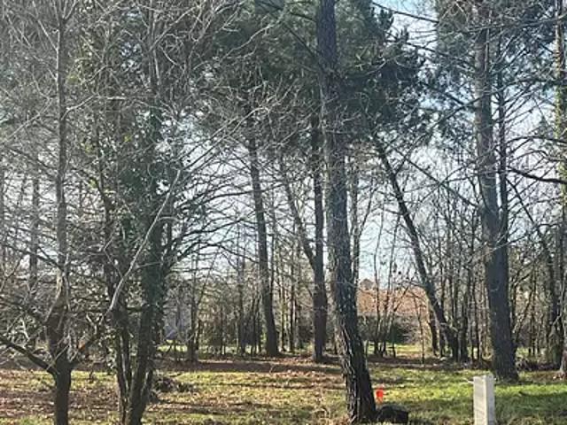 Terrain vente à Arcachon, Le Teich