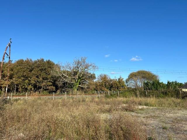 Terrain vente à Le Teich, Gironde