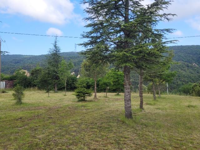 Terrain vente à Le Teil