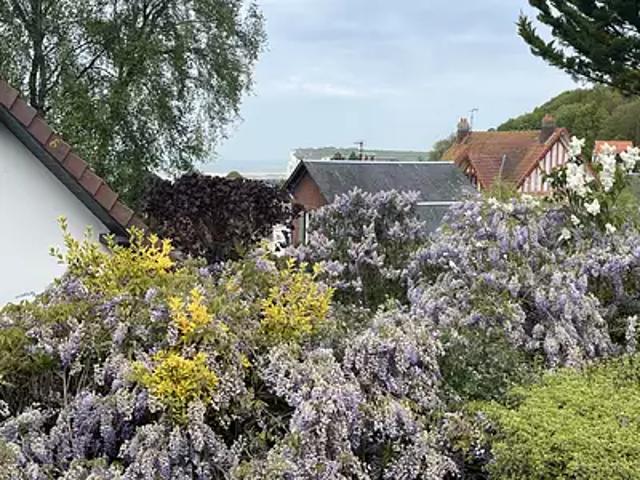 Maison vente à Dieppe, Le Tréport
