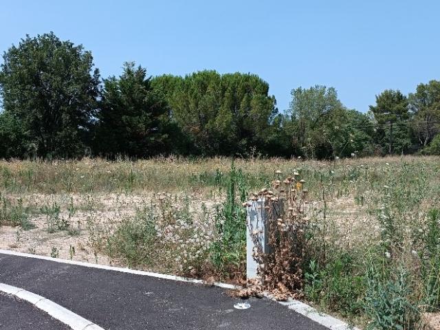 Terrain vente à Lodève, Le Triadou