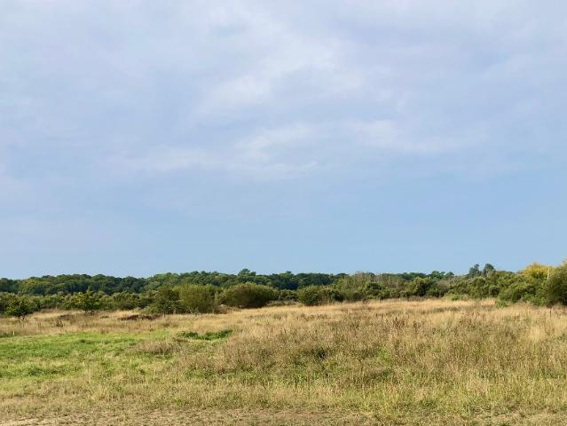 Terrain vente à Lesparre-Médoc, Le Verdon-sur-mer