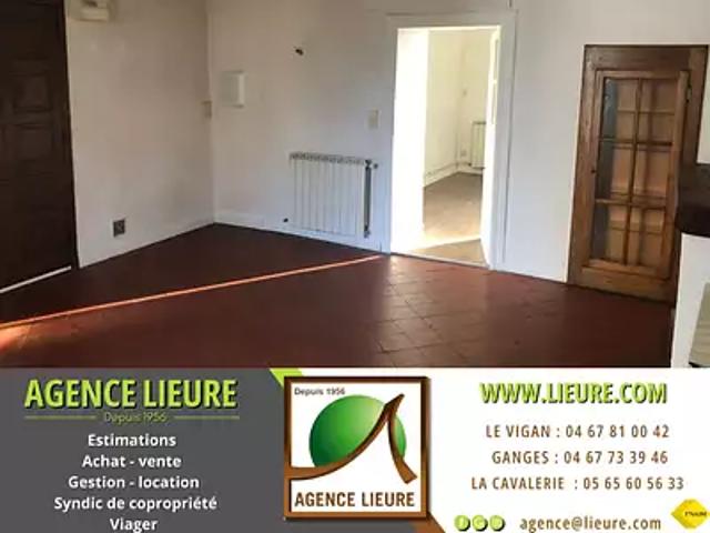Appartement vente à Le Vigan
