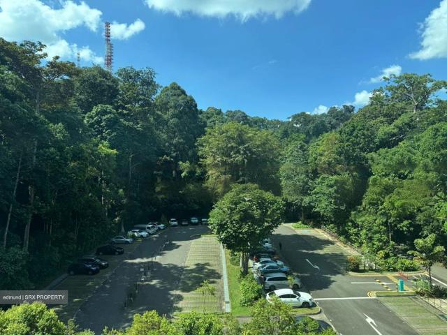 Condominium for rent in Upper Bukit Timah