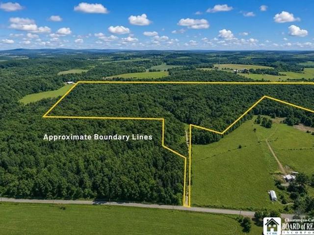 Farm for sale in Cherry Creek, New York