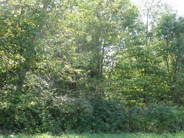 Land for sale in Edinboro, Pennsylvania