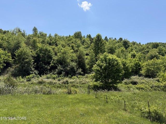 Land for sale in Tennessee