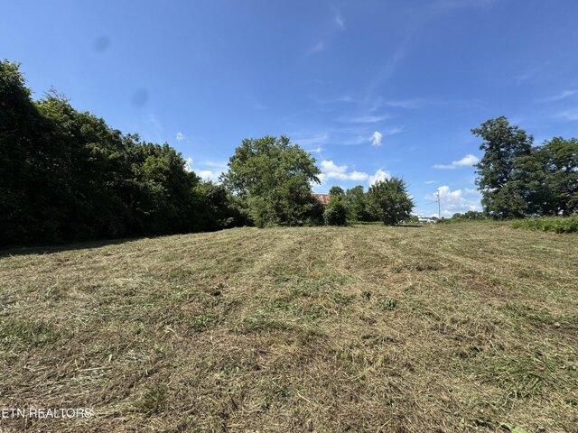 Land for sale in White Pine