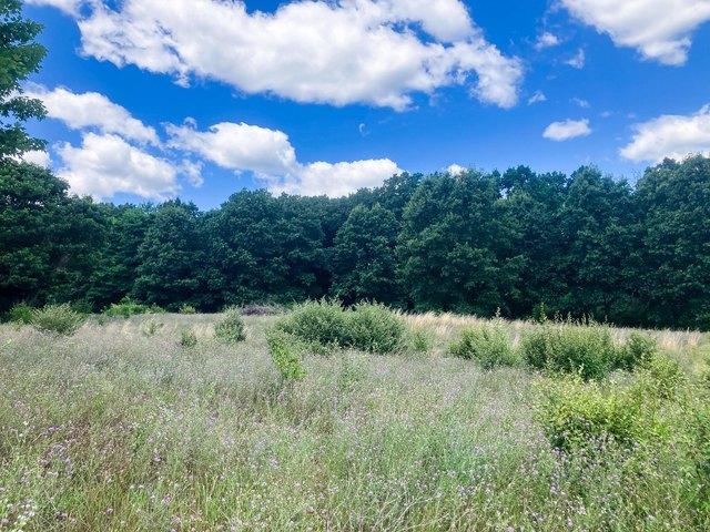 Land for sale in Freeport, Michigan