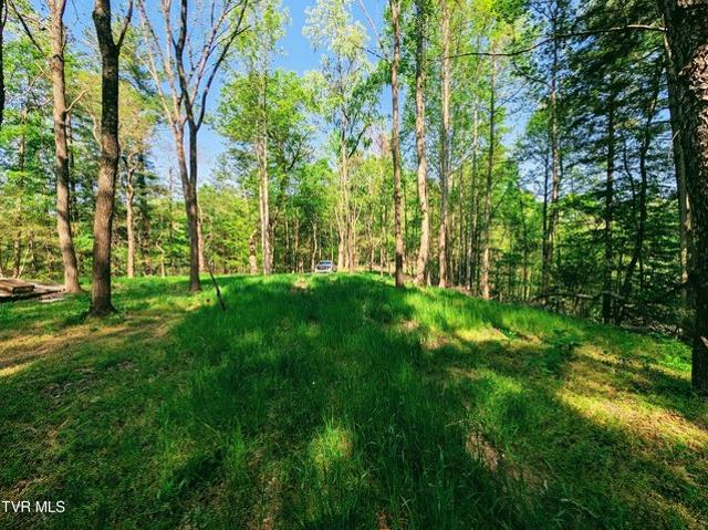 Land for sale in Virginia